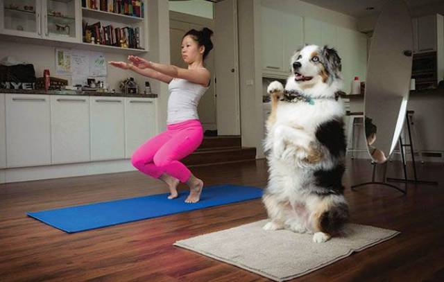 Daily Picdump