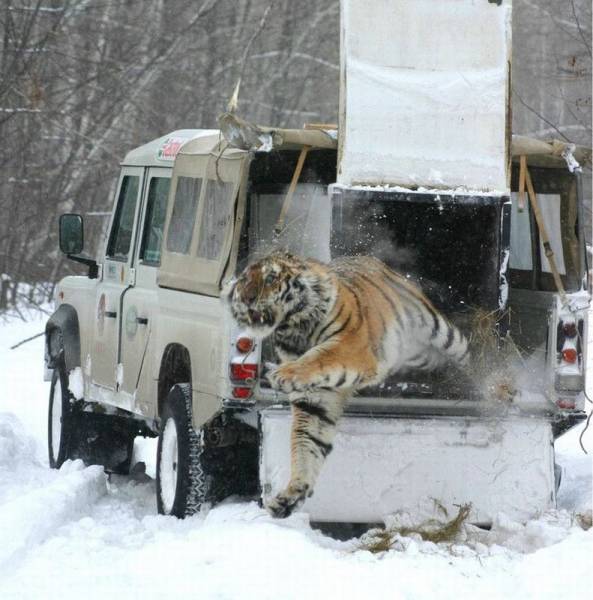 Daily Picdump [WEEKEND EDITION]