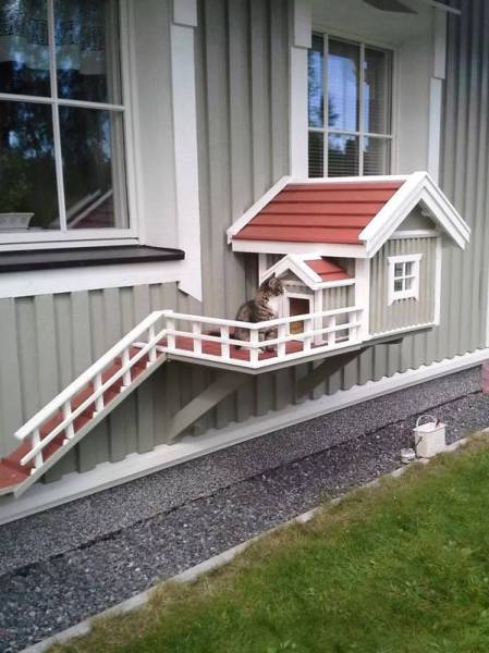 Morning Picdump