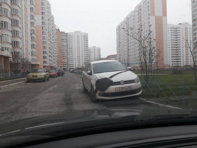 Morning Picdump