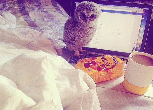 Daily Picdump [WEEKEND EDITION]