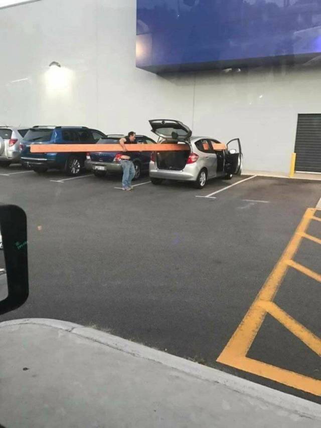 Daily Picdump [WEEKEND EDITION]