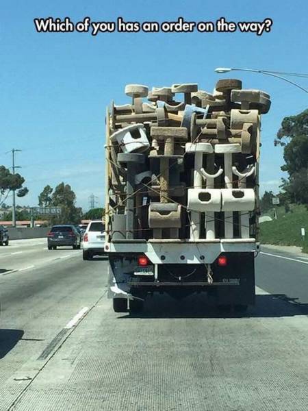 Daily Picdump