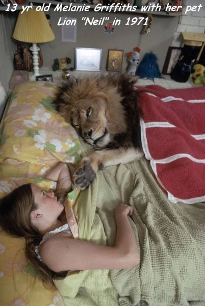Daily Picdump