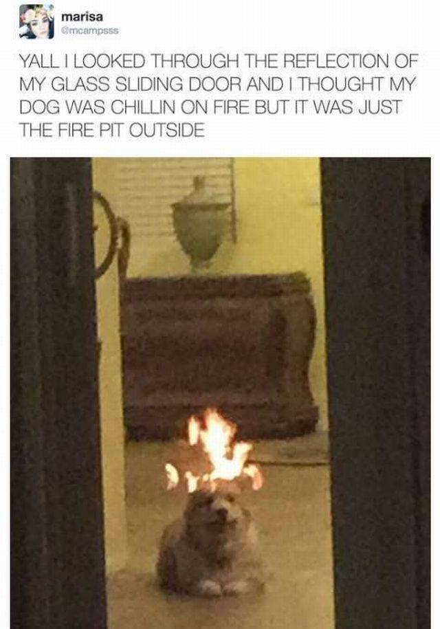 Daily Picdump