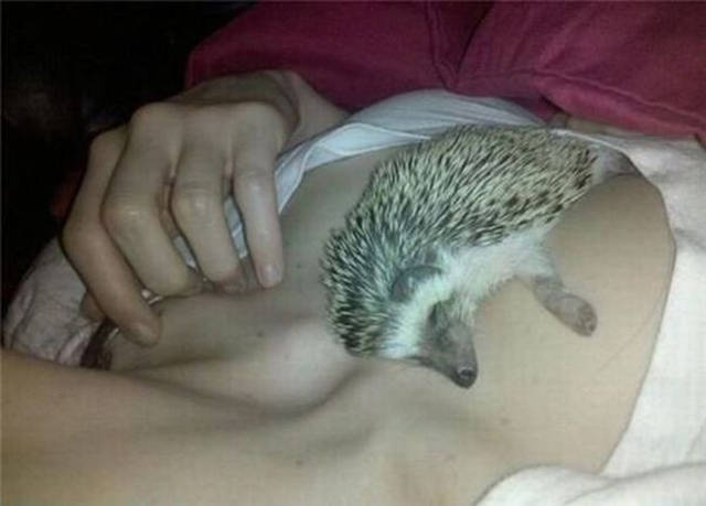 Morning Picdump