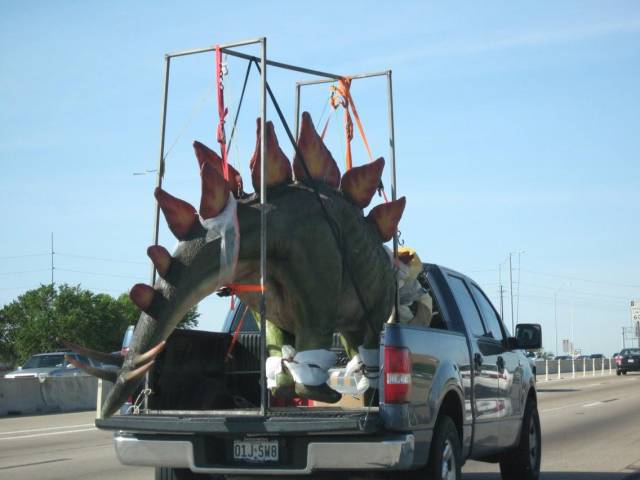 Morning Picdump