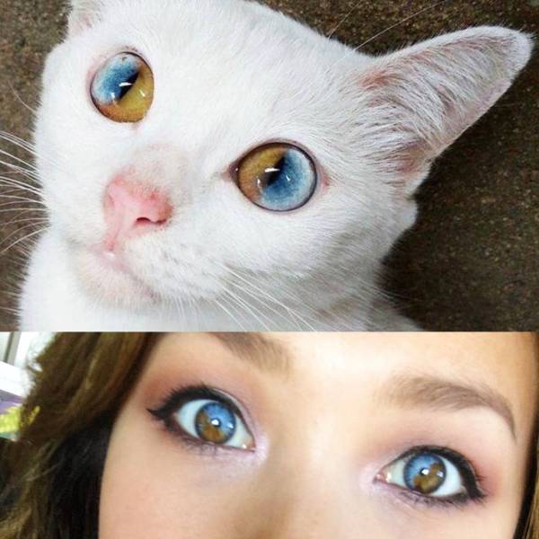 Daily Picdump