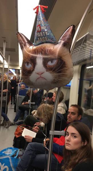 Daily Picdump
