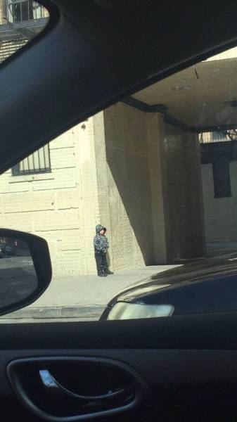 Daily Picdump