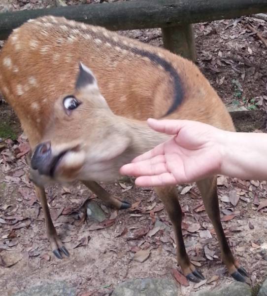 Morning Picdump
