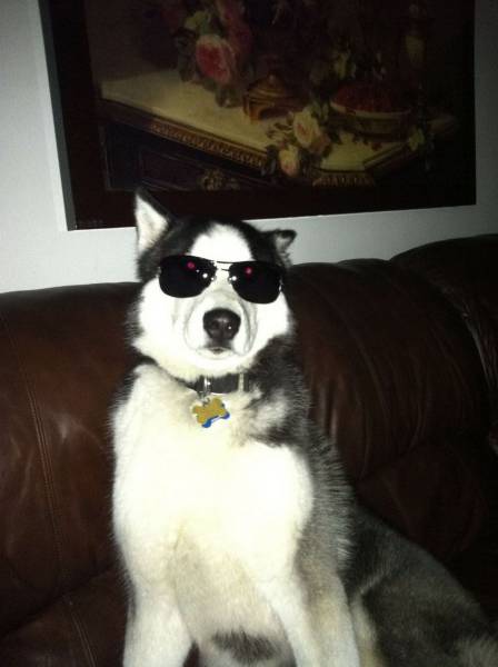 Daily Picdump [WEEKEND EDITION]