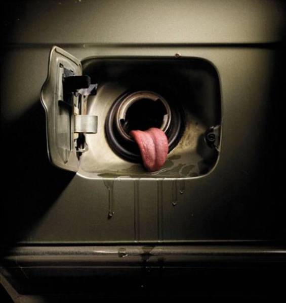 Daily Picdump [WEEKEND EDITION]