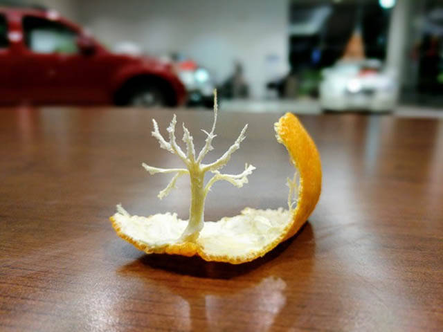 Morning Picdump