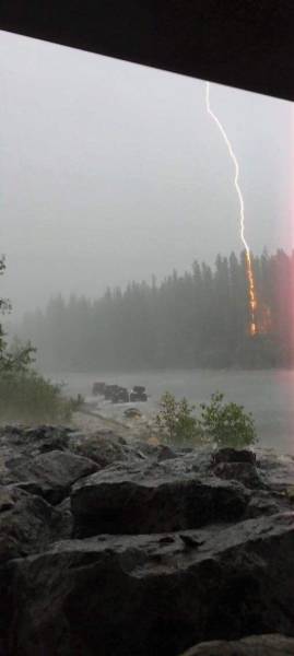 Daily Picdump [WEEKEND EDITION]