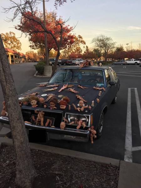 Daily Picdump