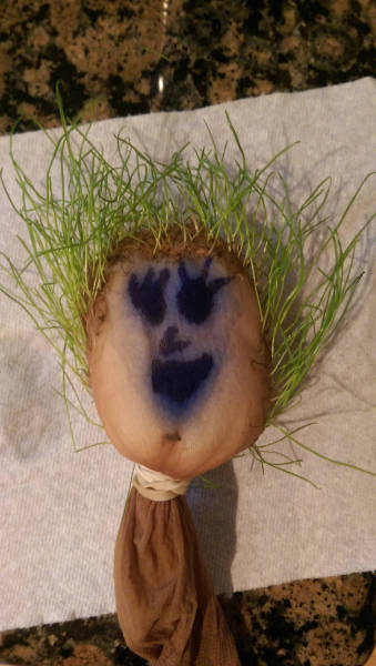 Morning Picdump