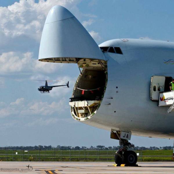 Morning Picdump