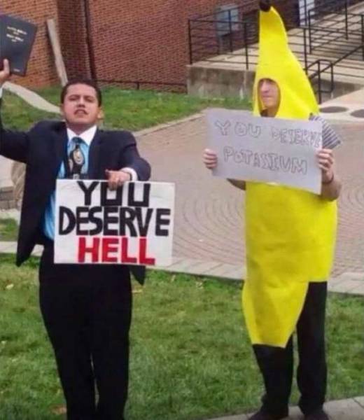 Daily Picdump