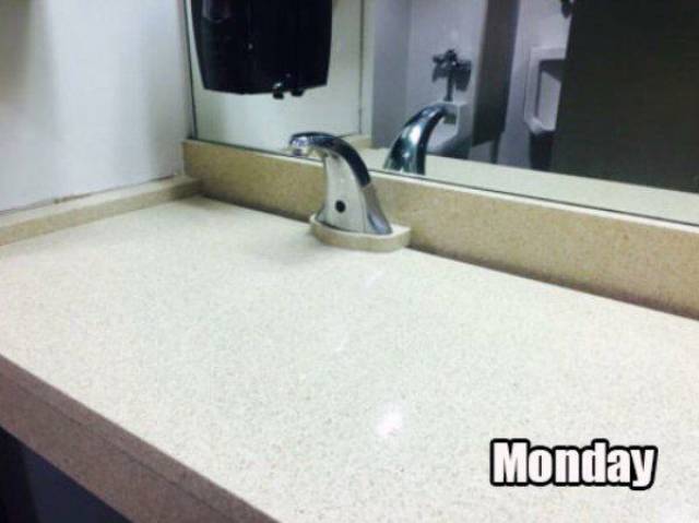 Daily Picdump
