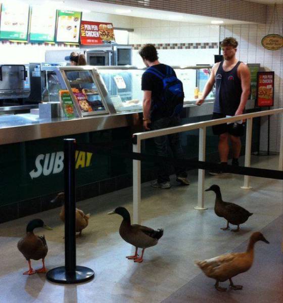 Daily Picdump