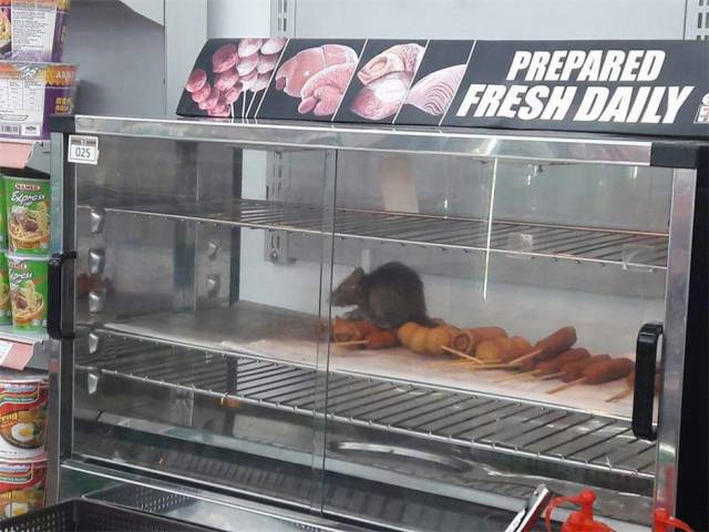 Daily Picdump