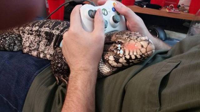 Daily Picdump