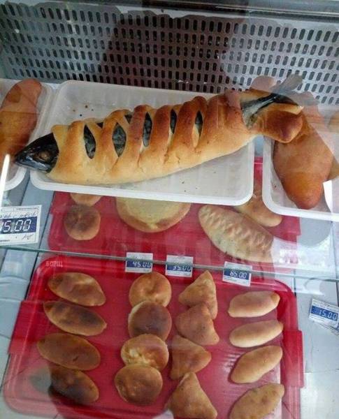 Daily Picdump