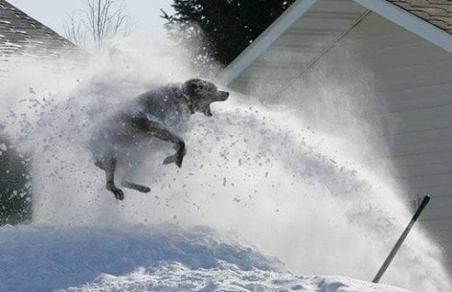 Daily Picdump
