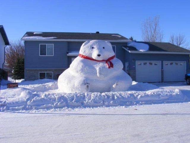 Daily Picdump