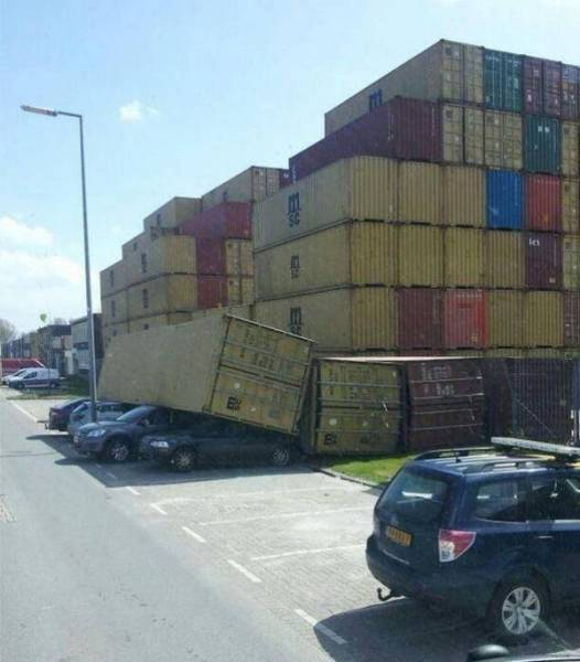 Morning Picdump