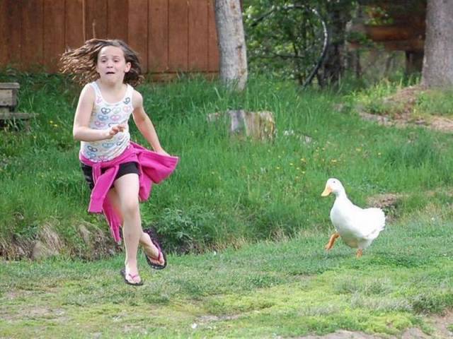 Daily Picdump