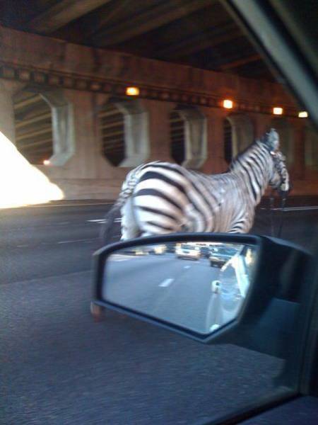Daily Picdump