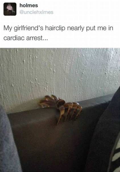 Daily Picdump