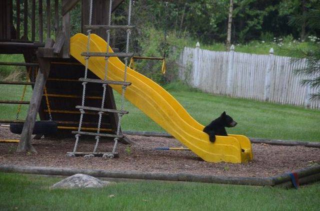 Daily Picdump