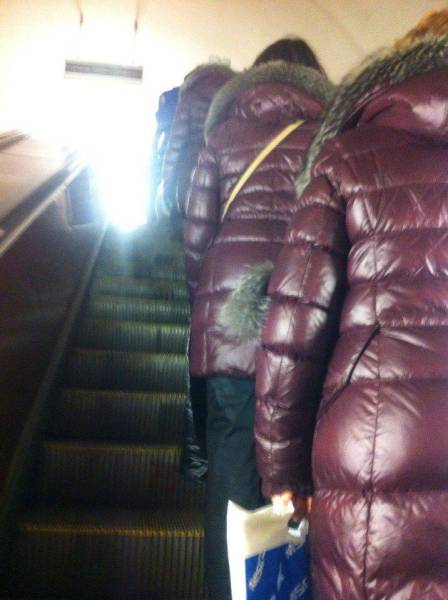 Daily Picdump