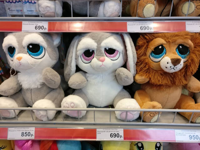 Morning Picdump
