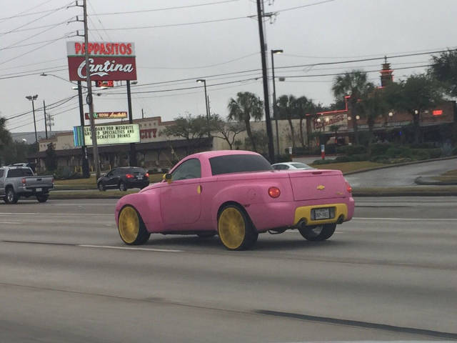 Morning Picdump