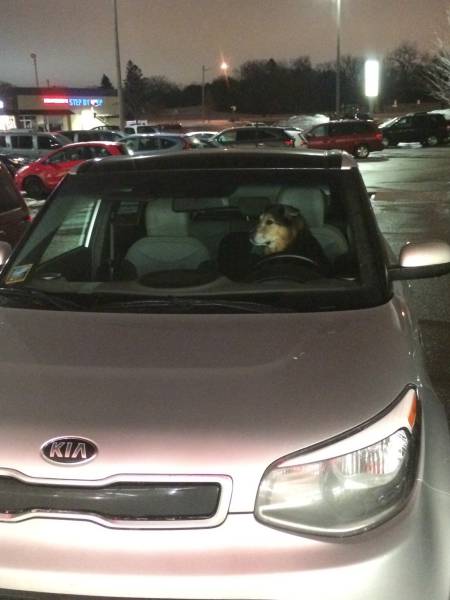 Morning Picdump