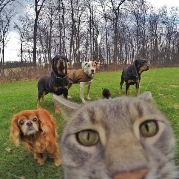 Morning Picdump