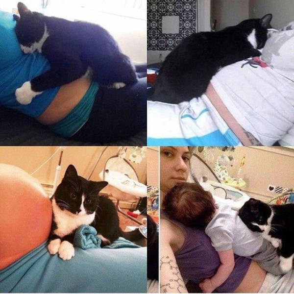 Morning Picdump