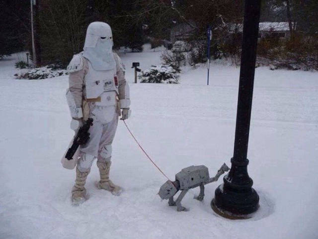 Morning Picdump